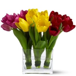 Teleflora's Tulip Trio