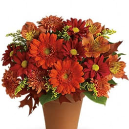 Orange and red daisy bouquet in a brown pot