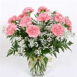 Dozen Assorted Carnations
