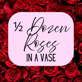 1/2 Dozen Roses in a Vase
