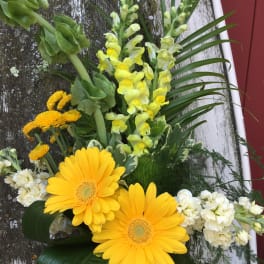 Yellow gerbera daisies and snapdragons with white flowers in a mixed arrangement