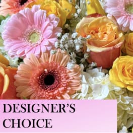 Designer's Choice