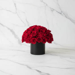 Velvet Rose Centerpiece