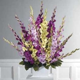 Mixed Gladiolus Pedestal