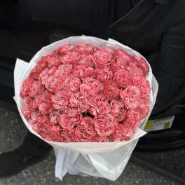 Large bouquet of pink roses wrapped in white paper