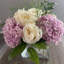 White roses and pink hydrangeas in a square glass vase
