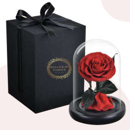 Beauty and the Beast Rose