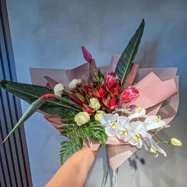 Handheld bouquet with red protea, white orchids, and pink wrapping