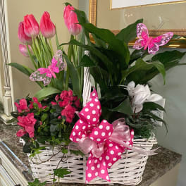 Pink tulips and white flowers in a white basket with a polka-dot bow