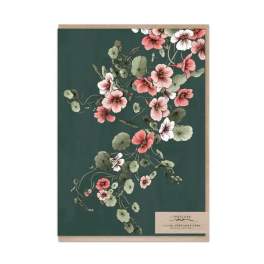 Nasturtium Card