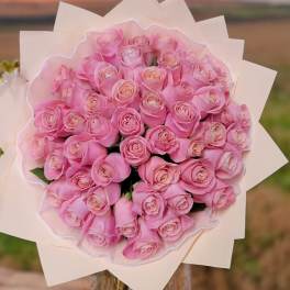 Bouquet of pink roses wrapped in pale paper