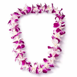 Single orchid lei (purple&white or green&purple)