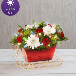Red sleigh planter with white and red flowers and lights
