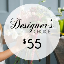 Designers Choice