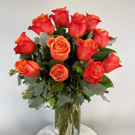 One dozen orange roses