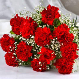 LOVE CARNATIONS