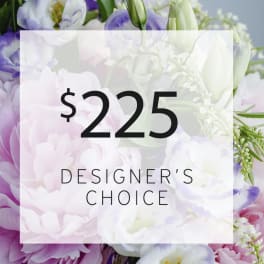 Designers Choice $225