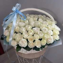 basket of 50 roses modial