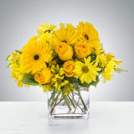 Yellow gerbera daisies and roses arranged in a clear glass vase