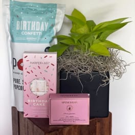 Plant Birthday Bundle