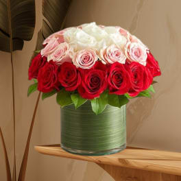 Red, pink, and white roses arranged in a glass vase