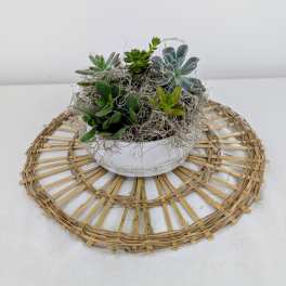 Succulent arrangement in a white bowl on a woven placemat