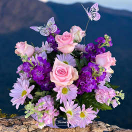 Pink roses and lavender daisies in a round bouquet with butterfly picks