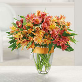 Orange and yellow alstroemeria bouquet in a clear glass vase with an orange ribbon band.