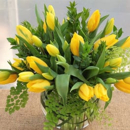Yellow tulips arranged in a clear glass vase with fern foliage