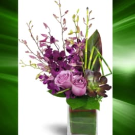 Orchid Jewel Tone Arrangement