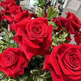 Bouquet of red roses with variegated green-and-cream foliage