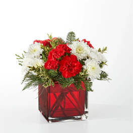 Red and white carnations in a red glass cube vase