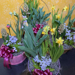 Mixed bulb garden basket