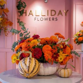 Warmth and Comfort by Halliday Flowers
