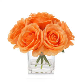 Orange roses in a clear square glass vase