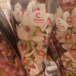 Wrapped orchid bouquets with white and pink blooms