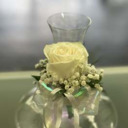 Single pale yellow rose in a clear glass vase with a ribbon bow