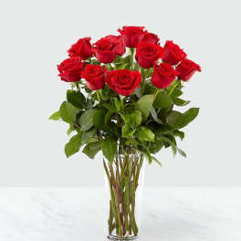 Crimson Grace – 12 Long Stem Red Roses in Vase