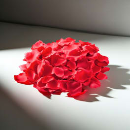 Pile of red rose petals on a white surface