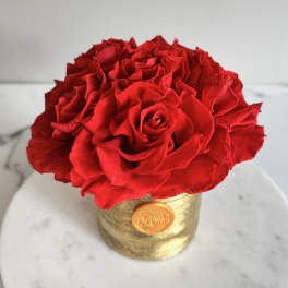 Red rose arrangement in a gold container