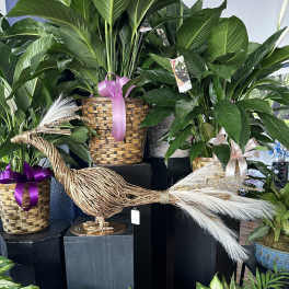 Decorative woven bird sculpture surrounded by potted houseplants