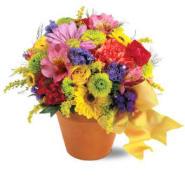 Colorful mixed flower bouquet in a terracotta pot with a yellow ribbon