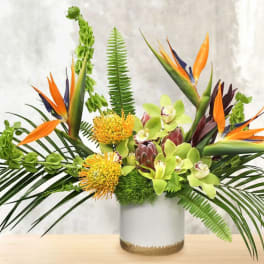 Tropical flower arrangement with orange bird-of-paradise and green orchids in a white vase