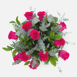 1 Dozen Hot Pink Roses in a Bouquet
