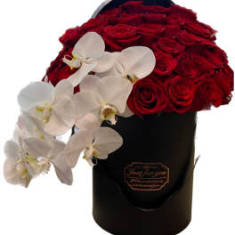Red roses and white orchids arranged in a black hat box