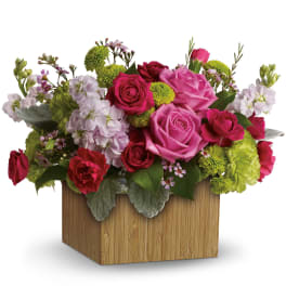 Low arrangement of hot pink and red roses with green mums and pale blooms in a rectangular wooden box
