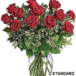 12 Red Roses with greens arranged in a vase