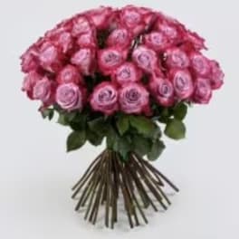 Bouquet of pink roses with a long-stem wrap