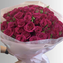 Bouquet of hot pink roses wrapped in pale pink paper