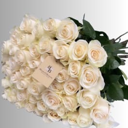 Large bouquet of cream white roses with dark green foliage
